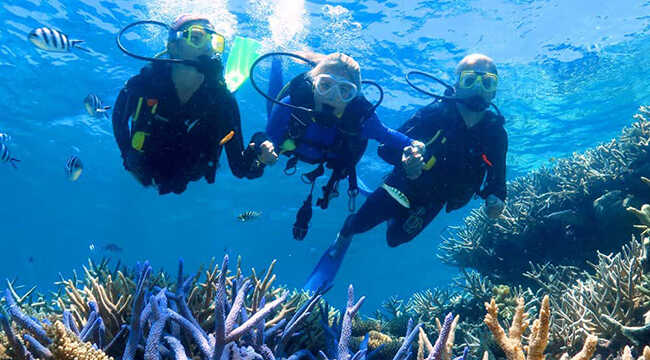 Phu Quoc Scuba Diving and Snorkeling Tour